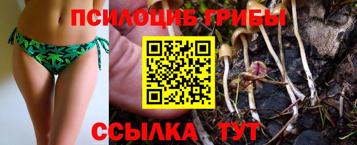 Галлюциногенные грибы MAGIC MUSHROOMS  Псилоцибиновые грибы GOLDEN TEACHER  Вход с VPN  наркотики  Новосибирск 